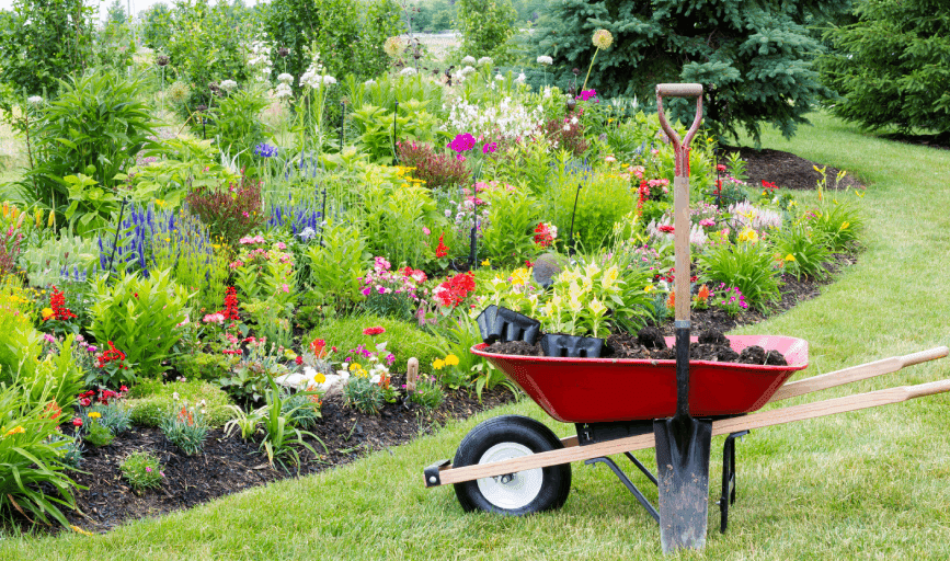 GARDEN BED DESIGN