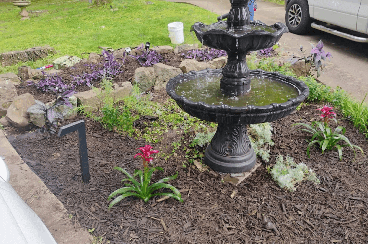 Fitz's Buzz and Branch Landscaping